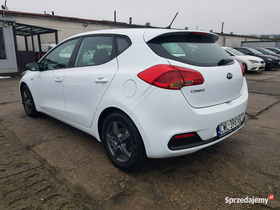 Kia Ceed 14 Benzyna Klima Zarejestrowany Włocławek sprzedam