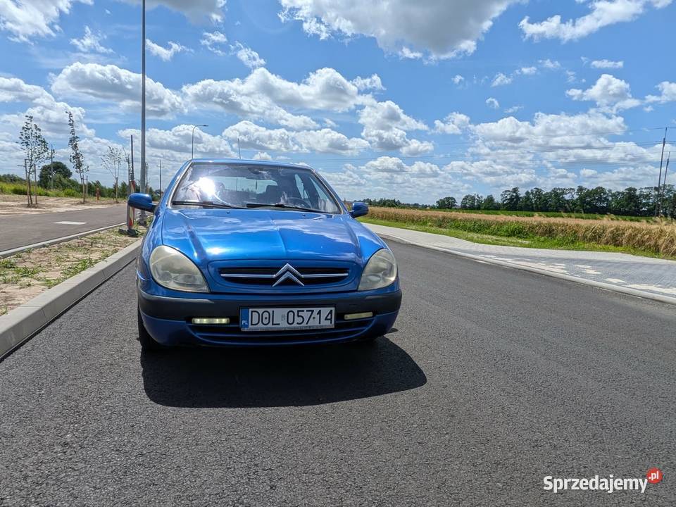 Citroen xsara Syców