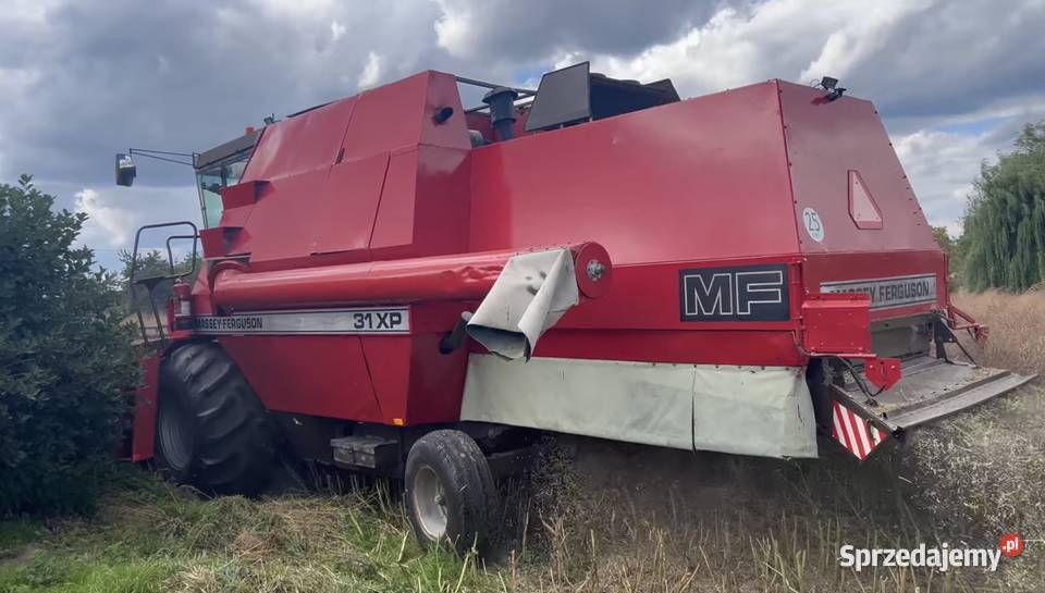 Massey Ferguson 31xp dronningborg 8500 Wierzba