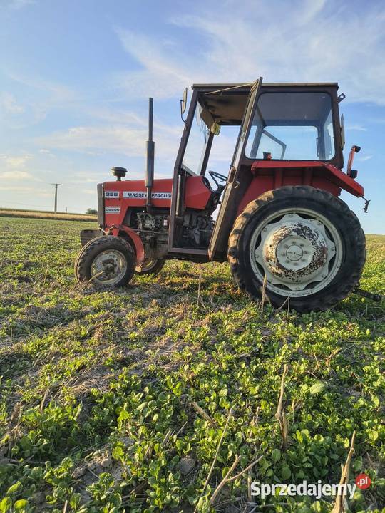 Massey Ferguson 255 Waśniów