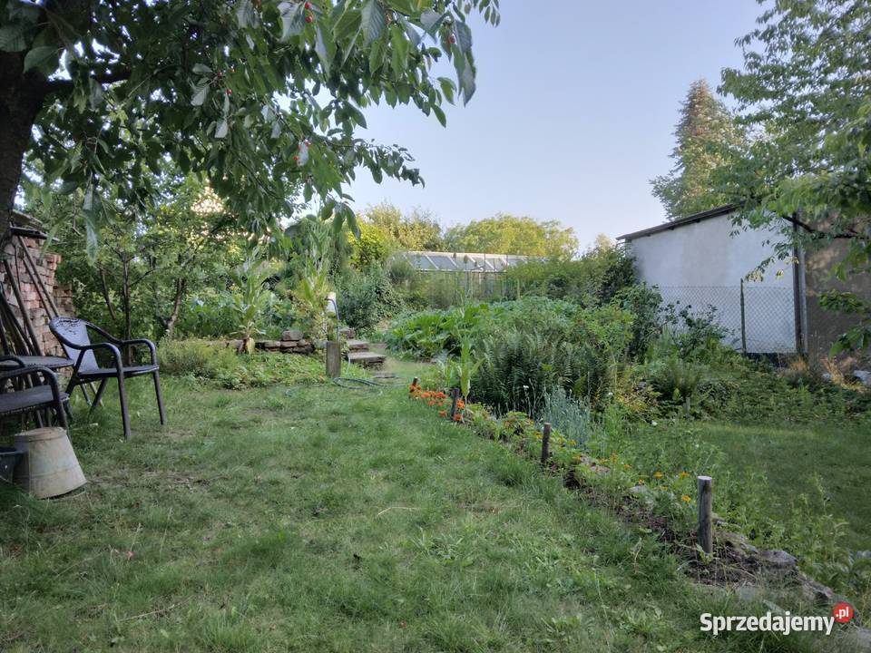 Działka ROD Gdynia Mały Kack Ogród działkowy sprzedam