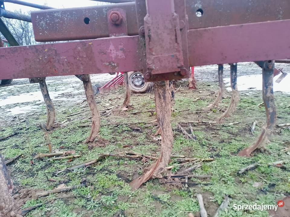 Gruber świętokrzyskie Klimontów