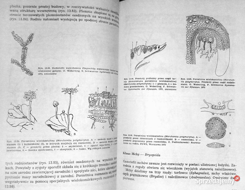 Świat roślin Cz 1234 Józef Prończuk Pozostałe