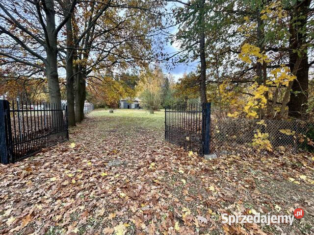 Działka Budy Mszczonowskie 2400m2 inwestycyjna Zdany