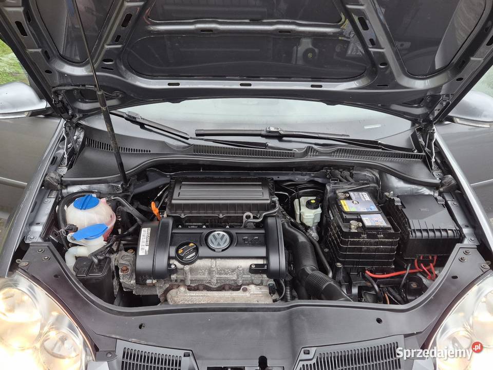 VW GOLF V 14B MPI GOAL OPŁACONY Z NIEMIEC KLIMA Rok produkcji 2006 Końskie