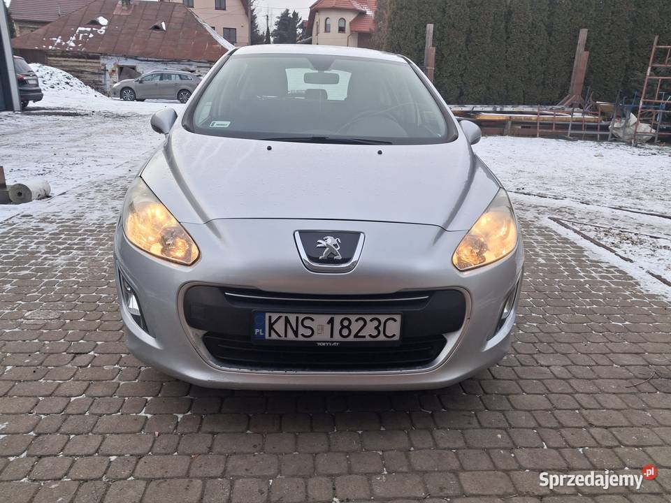 Peugeot 308 komputer pokładowy Dębowiec