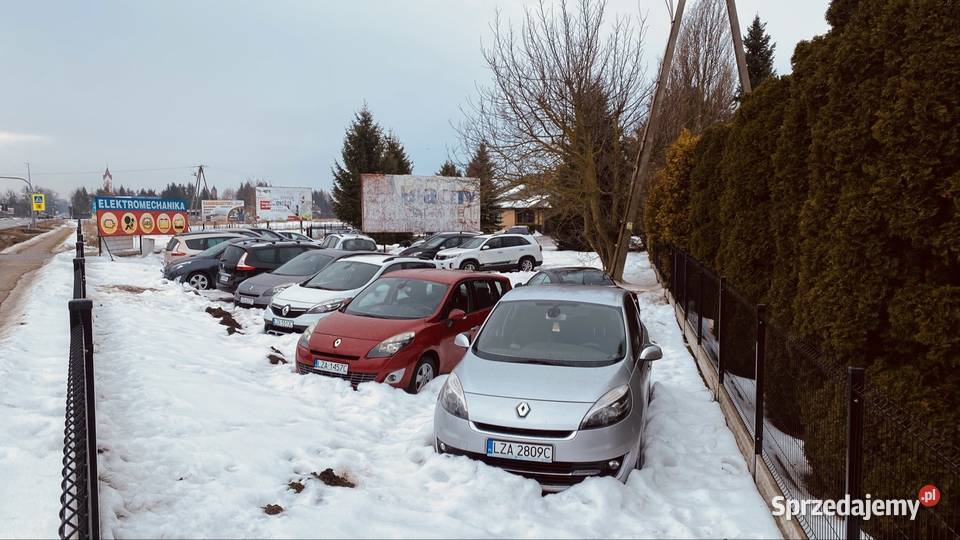 Renault Scenic Zamość