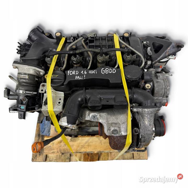 SILNIK KOMPLETNY G8DD Ford Focus II MK2 C C 16 lubelskie Chełm