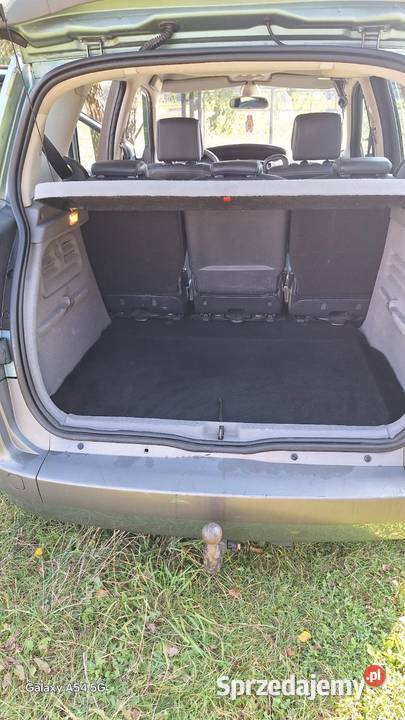 Renault Scenic 2 19dci Ładny sprawdz nieuszkodzony Kostrzyn