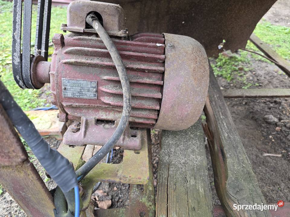 Krajzega do drewna z silnikiem siłowym Częstochowa