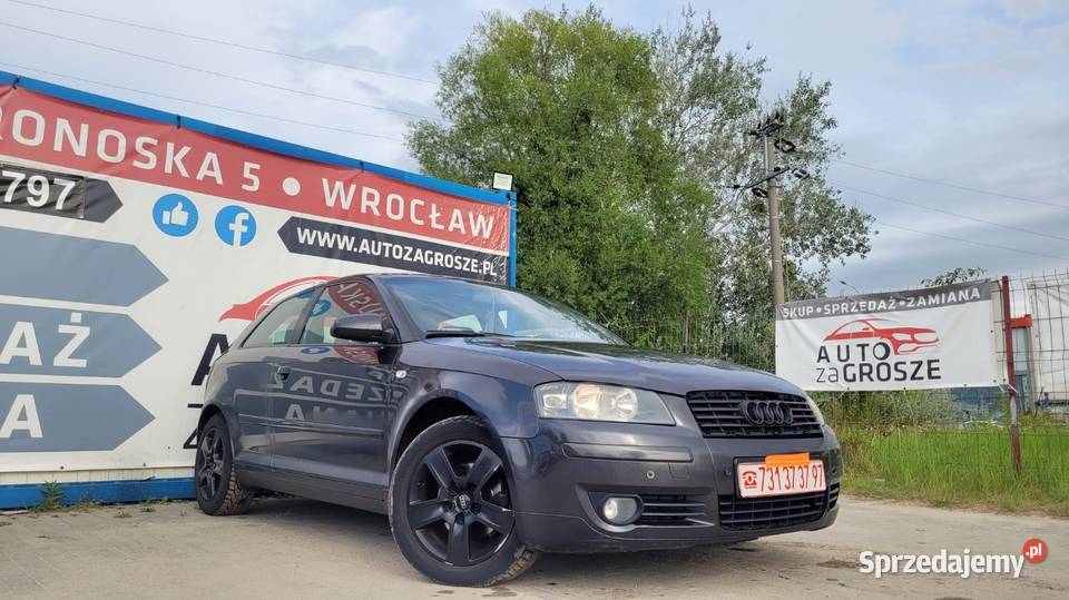 Audi A3 8P 19 TDI Alufelgi Climatronic Grzane A3 dolnośląskie Wrocław sprzedam