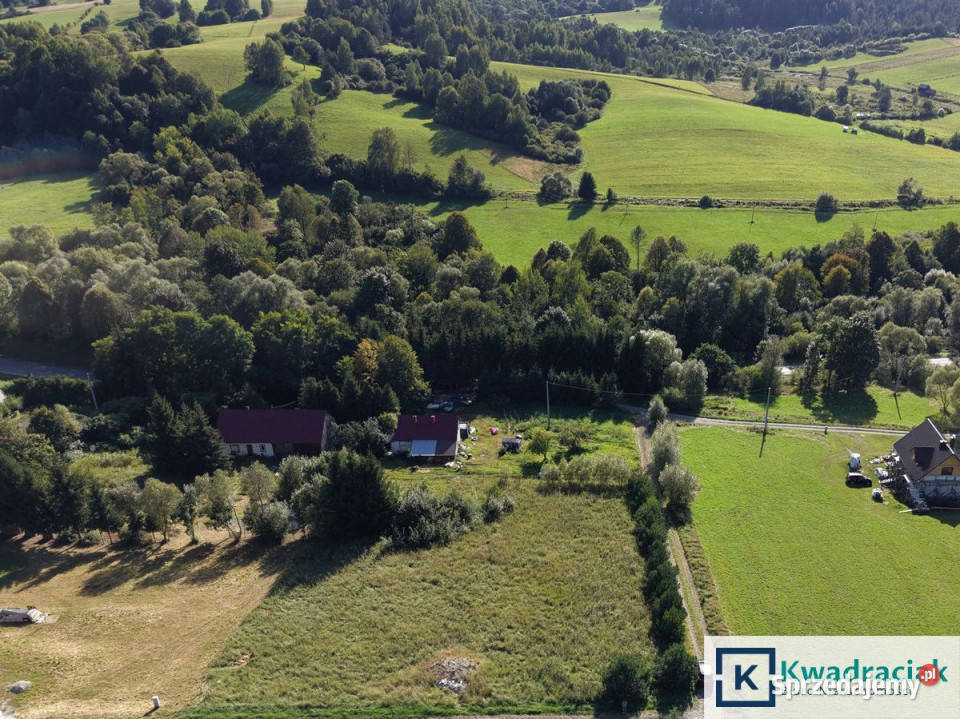 Działka Hoszów 2934m2 utwardzona sprzedam