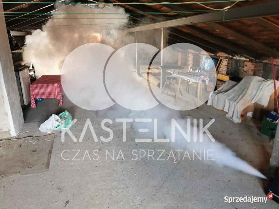 Odgrzybianie ścian Leszno Kastelnik Usuwanie