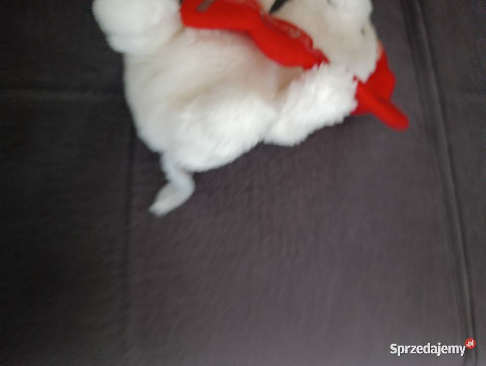 misie zestaw coca cola zabawka pluszowa maskotka Poznań