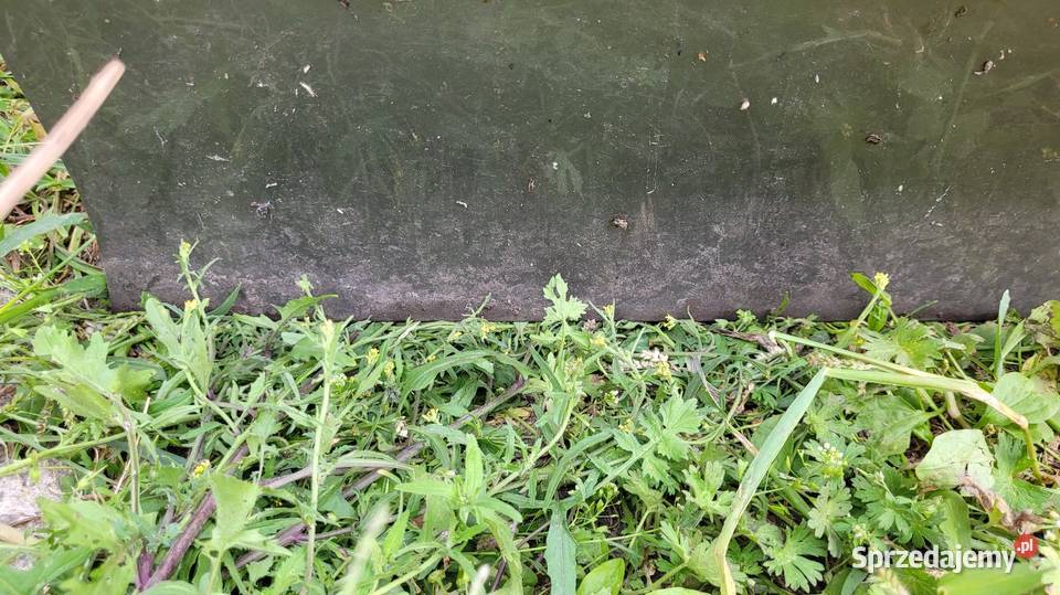 Drzwi Citroen Xsara Picasso mazowieckie Łagów