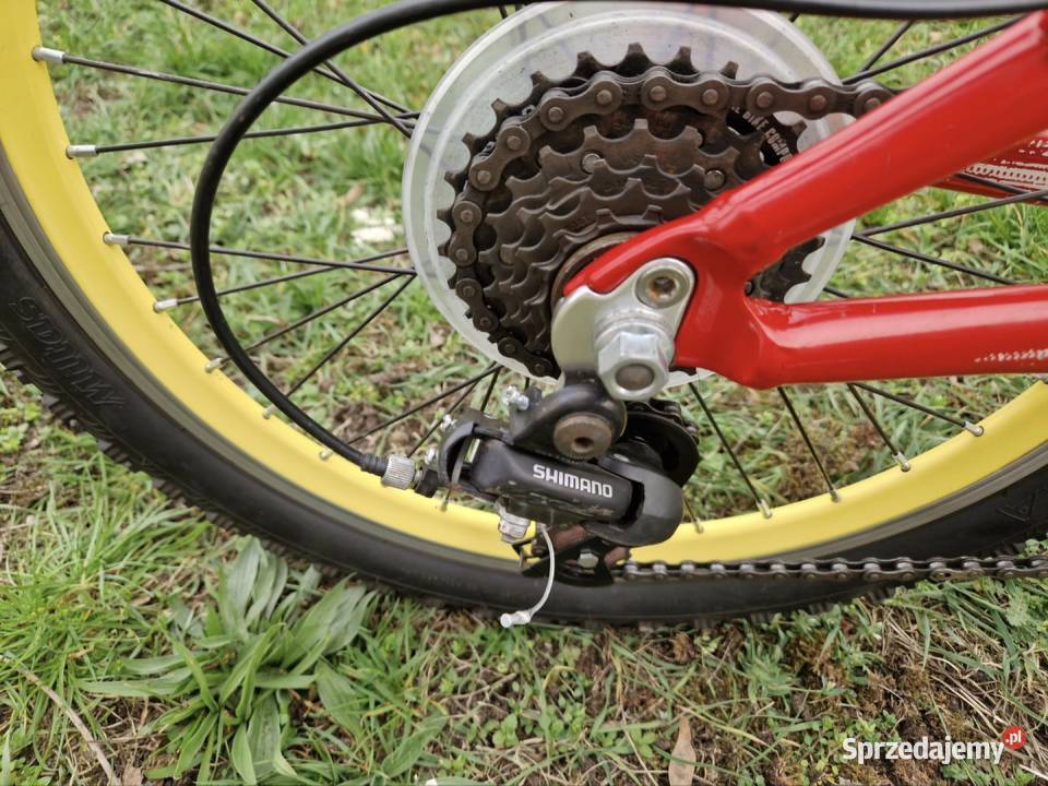 Rower Arkus Evolution