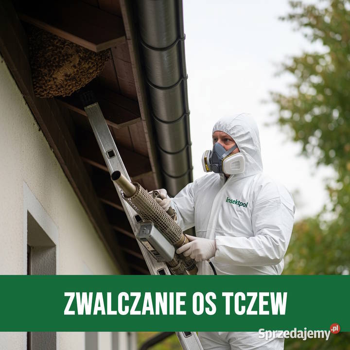 Zwalczanie Os Tczew Usuwanie Gniazd