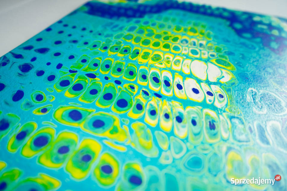 Kolorowy abstrakcyjny obraz Kameleon 50x60 Warszawa