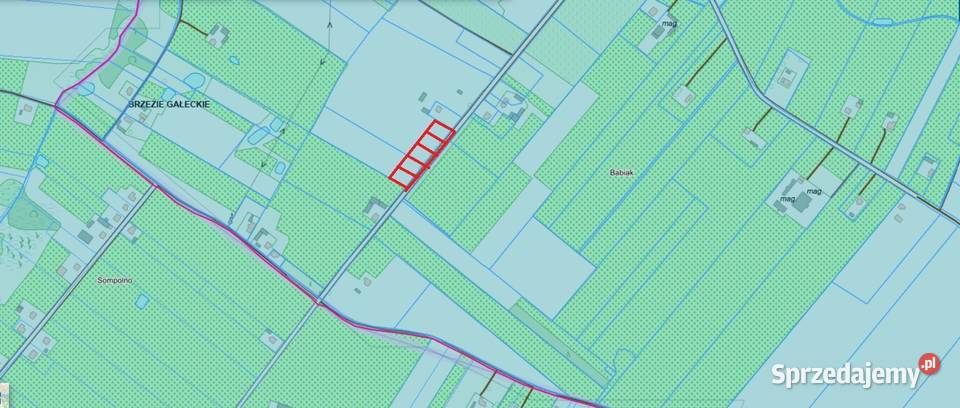 Działka budowlana 10arBrzezie gmBabiakwydane WZ 80zł/m2 Brzezie sprzedam