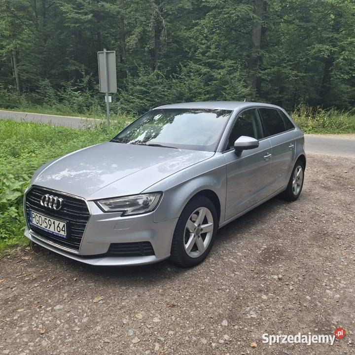 Audi a3 8v wielkopolskie Krotoszyn