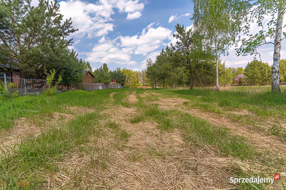 sprzedaży gruntu Brzezinka Średzka 3025m2