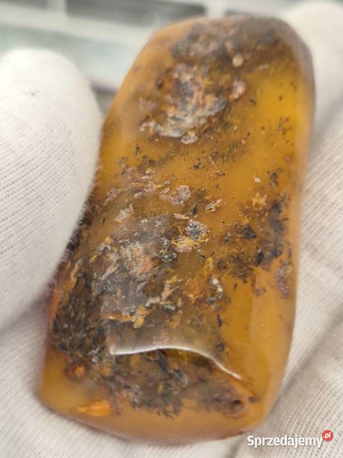 Bursztyn bałtycki naturalny okaz kolekcjonerski Biżuteria - półprodukty