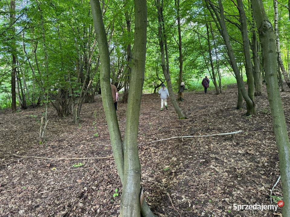 działka budowlana obok jeziora Żywiec rekreacyjna