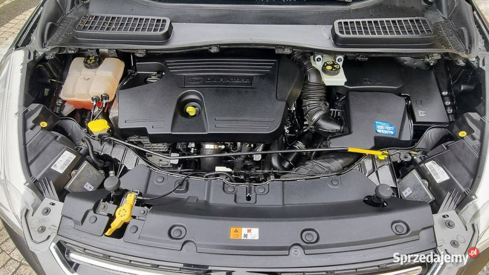 Ford Kuga Serwis 4x4 Automat PółSkóry GWARANCJA mazowieckie Płońsk sprzedam