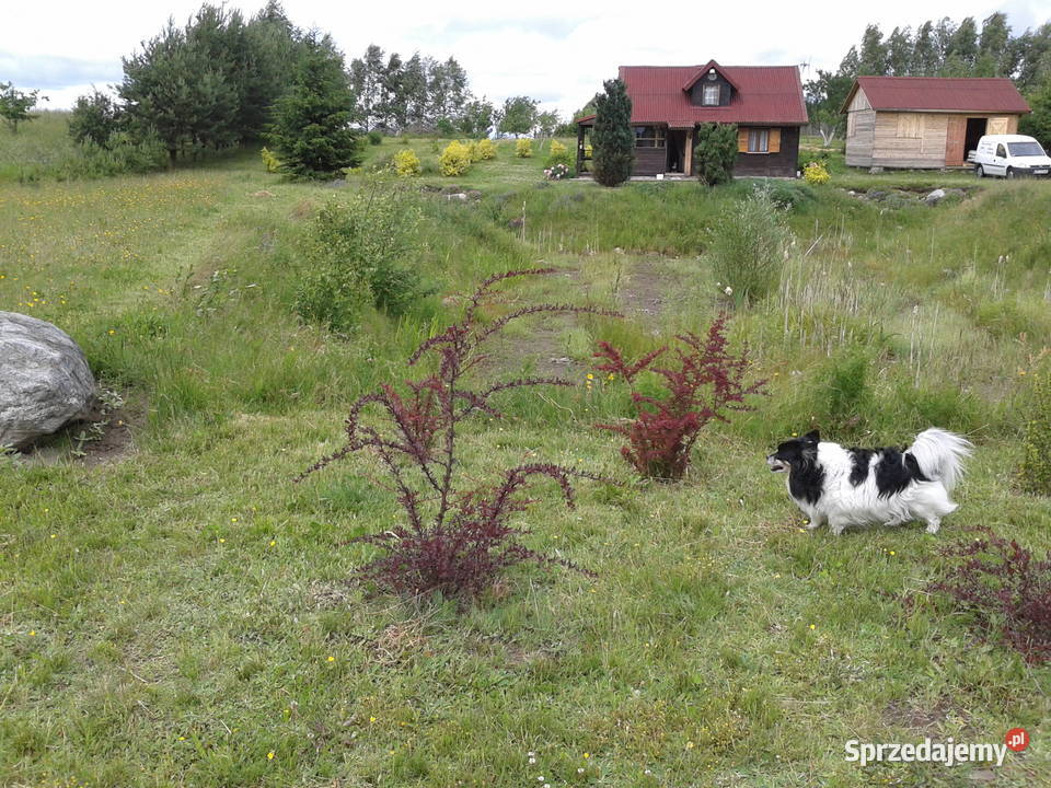 KASZUBY DZIAŁKA UZBROJONA WARUNKI ZABUDOWY Gdańsk