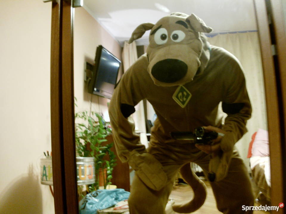 Animator na urodziny przyjęcia dzieci wata obsługa imprez