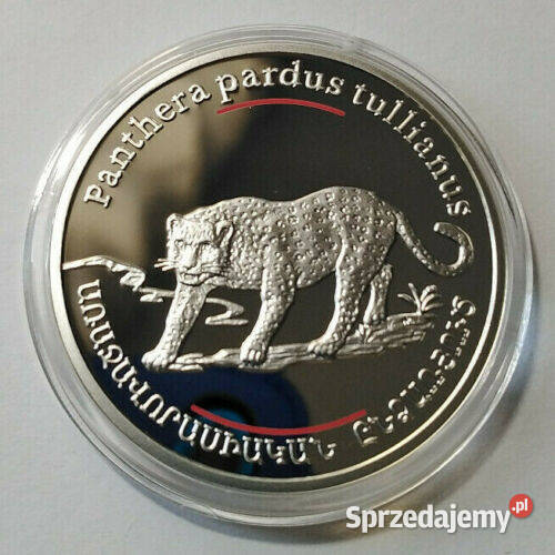 100 Dram Pantera 2007