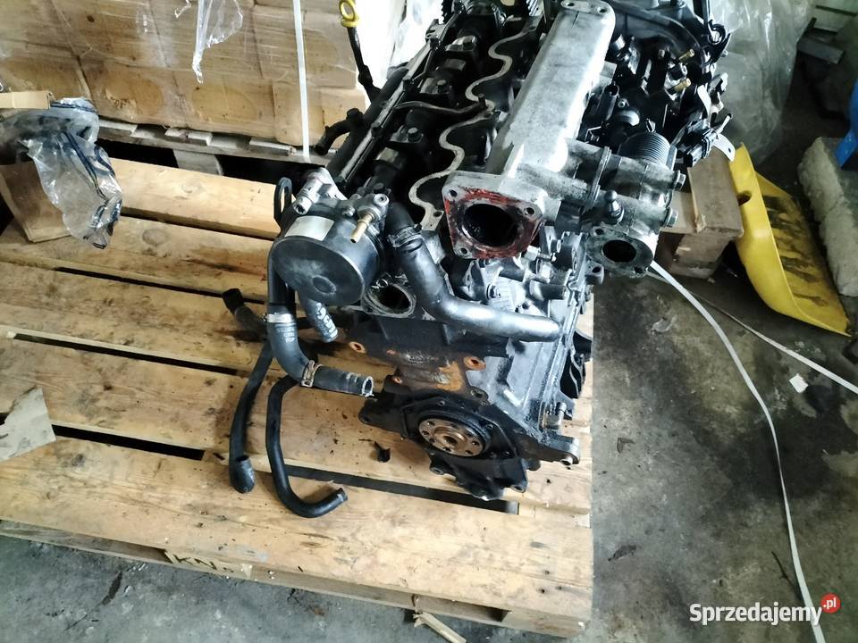 Opel Vectra C Signum Astra H 19 CDTI SILNIK Z19 świętokrzyskie Kielce