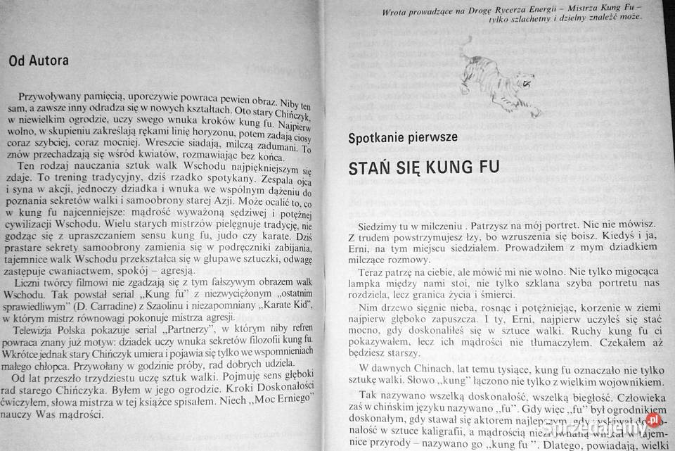 Moc Erniego Stanisław Tokarski