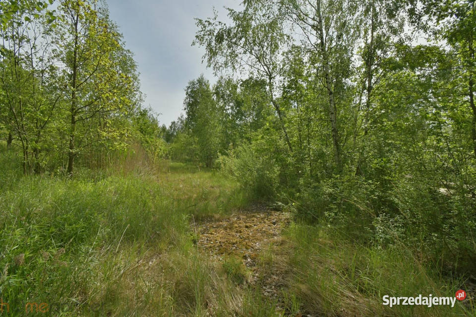 sprzedaży działki 14508m2 Wałbrzych Sprzedaż dolnośląskie
