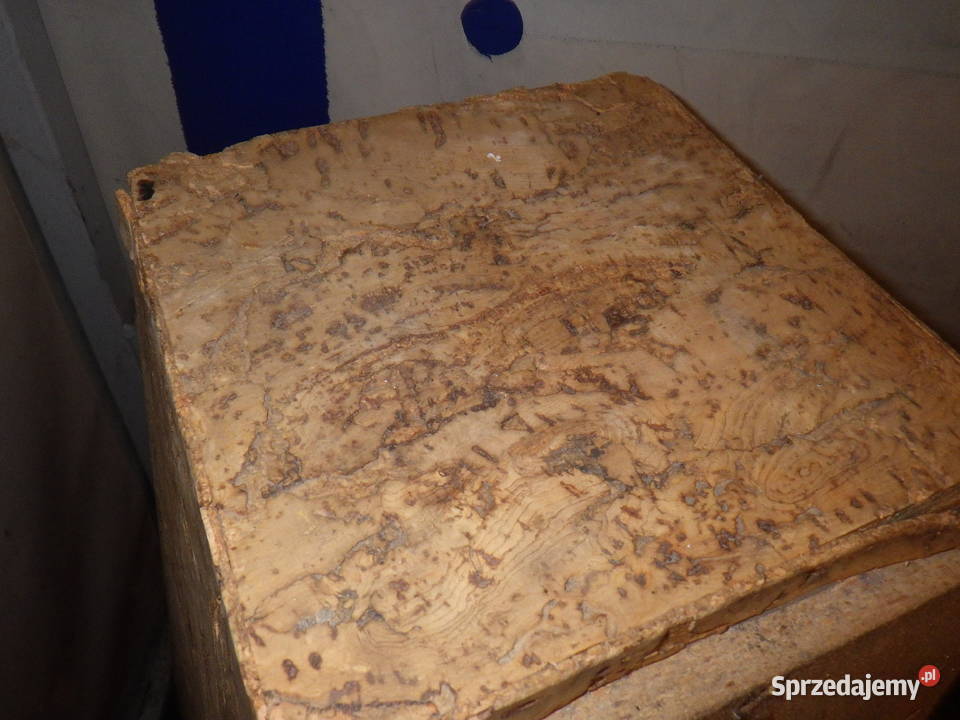 Kolumny głośnikowe Kolumny Estradowe 2 sztuki Rzeszów