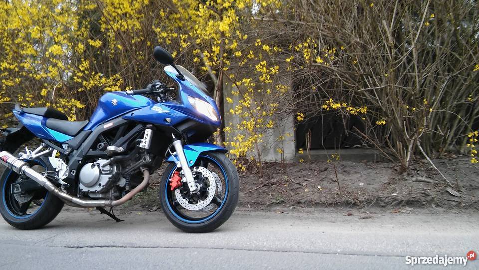 Suzuki sv650 s ładna