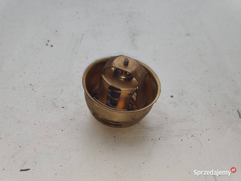 Termostat mtz 80 Straszyn