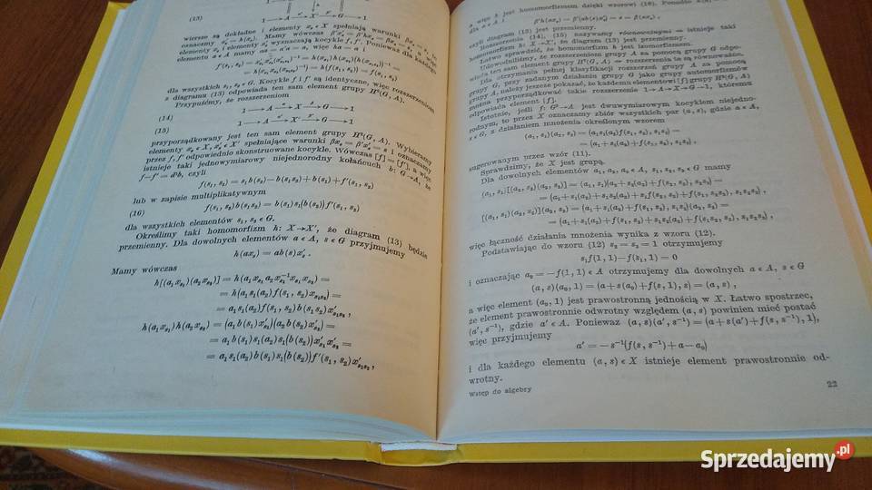 Wstęp do algebry homologicznej Stanisław Gdańsk