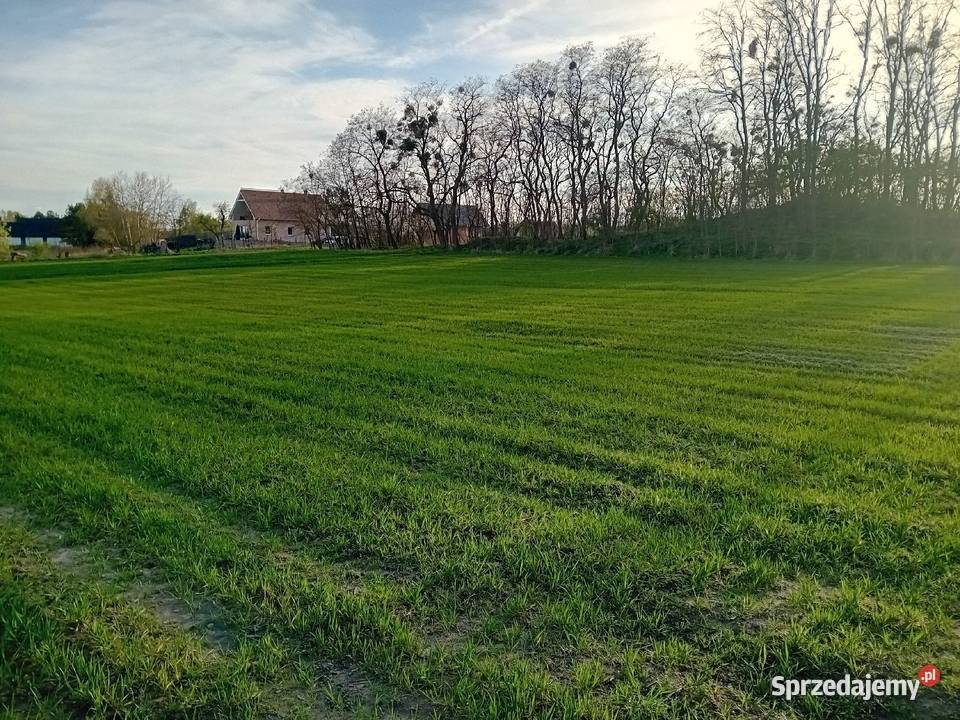 Binowo działka rolnobudowlana 2800m2 z MPZP