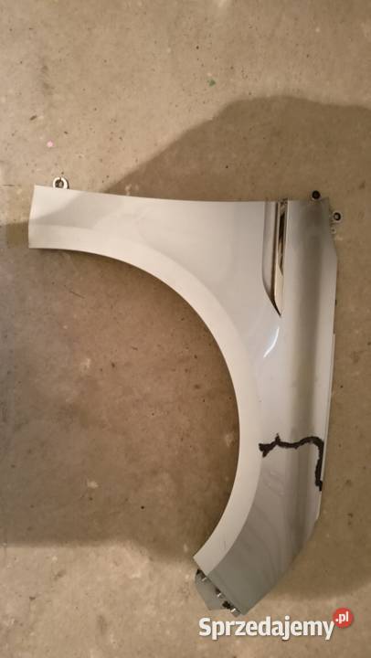 Błotnik prawy Renault Megane 2020 Pozostałe Pozostałe