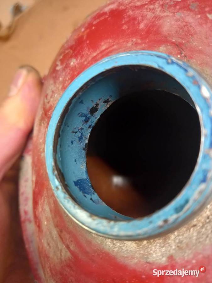 Bak komar sztywniak Sokołów Podlaski