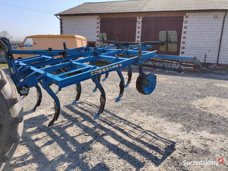 Bezorkowiec czterobelkowiec rabe lubelskie Motycz