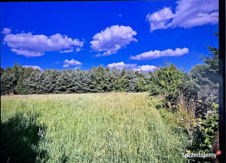 Działka pod budowę domu pod lasem szeroka długa Kolonia Piaski