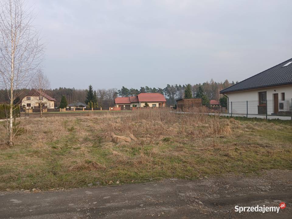 DZIAŁKA BUDOWLANA ORZESZE śląskie