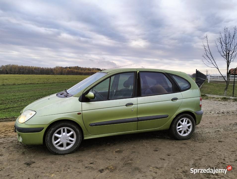 Renault scenic Tarnów