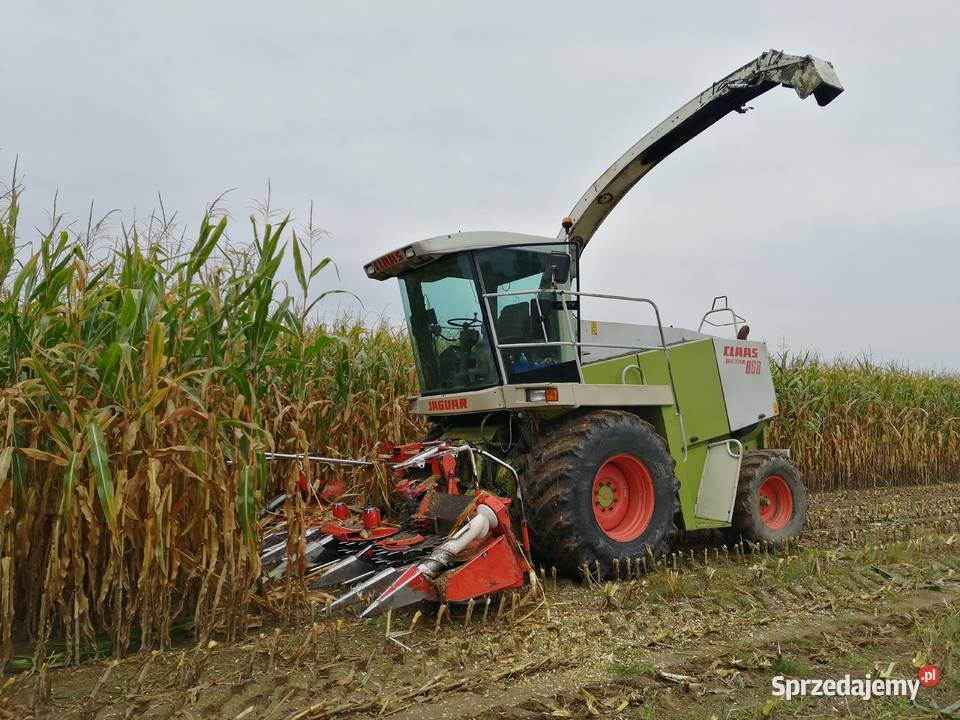 sieczkarnia claas jaguar 860 kemper 345 nowe mazowieckie Garwolin