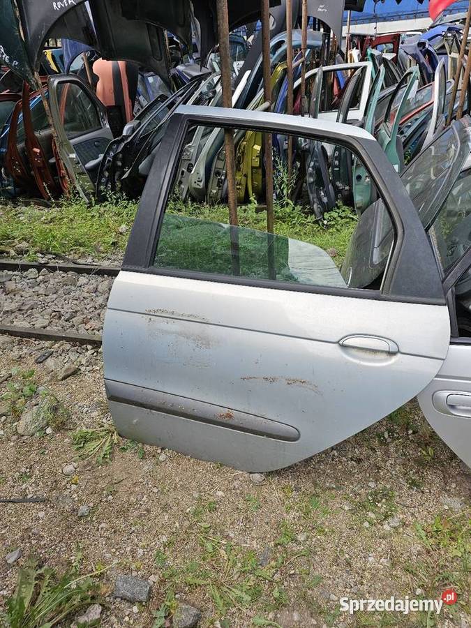 Drzwi scenic 1 lewy tył