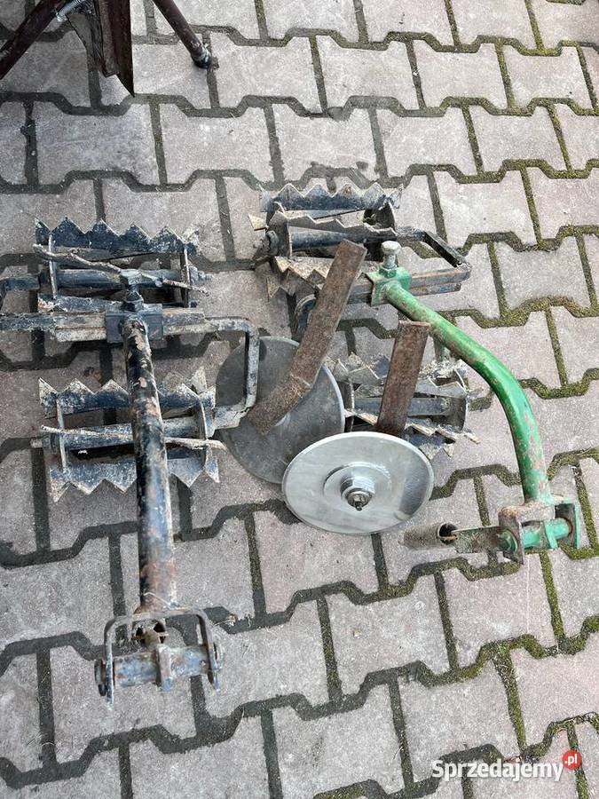 Pielacz nieuszkodzony Szpica