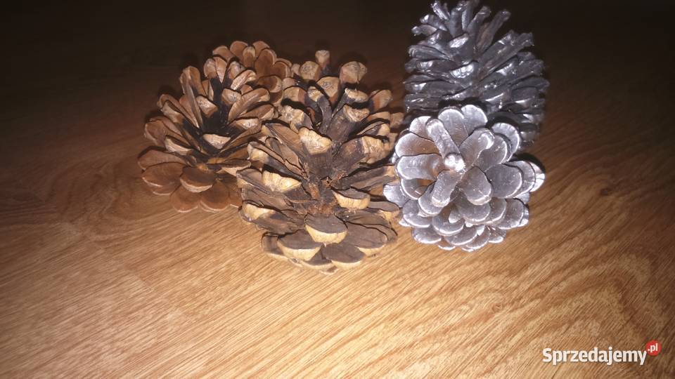 Piękne naturalne szyszki na choinkę na ozdoby Lublin sprzedam