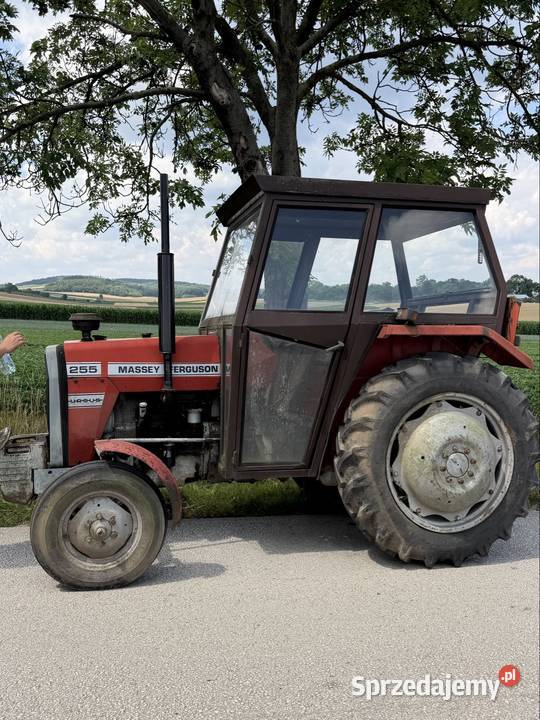 Massey Ferguson 255 Wiślica
